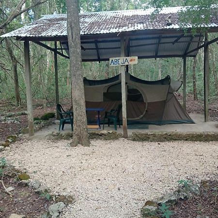 Campamento Yaax Che En Calakmul Conhuas Exterior photo