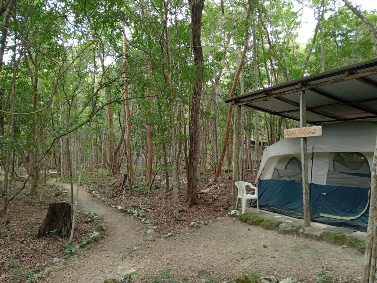 Campamento Yaax Che En Calakmul Conhuas Exterior photo
