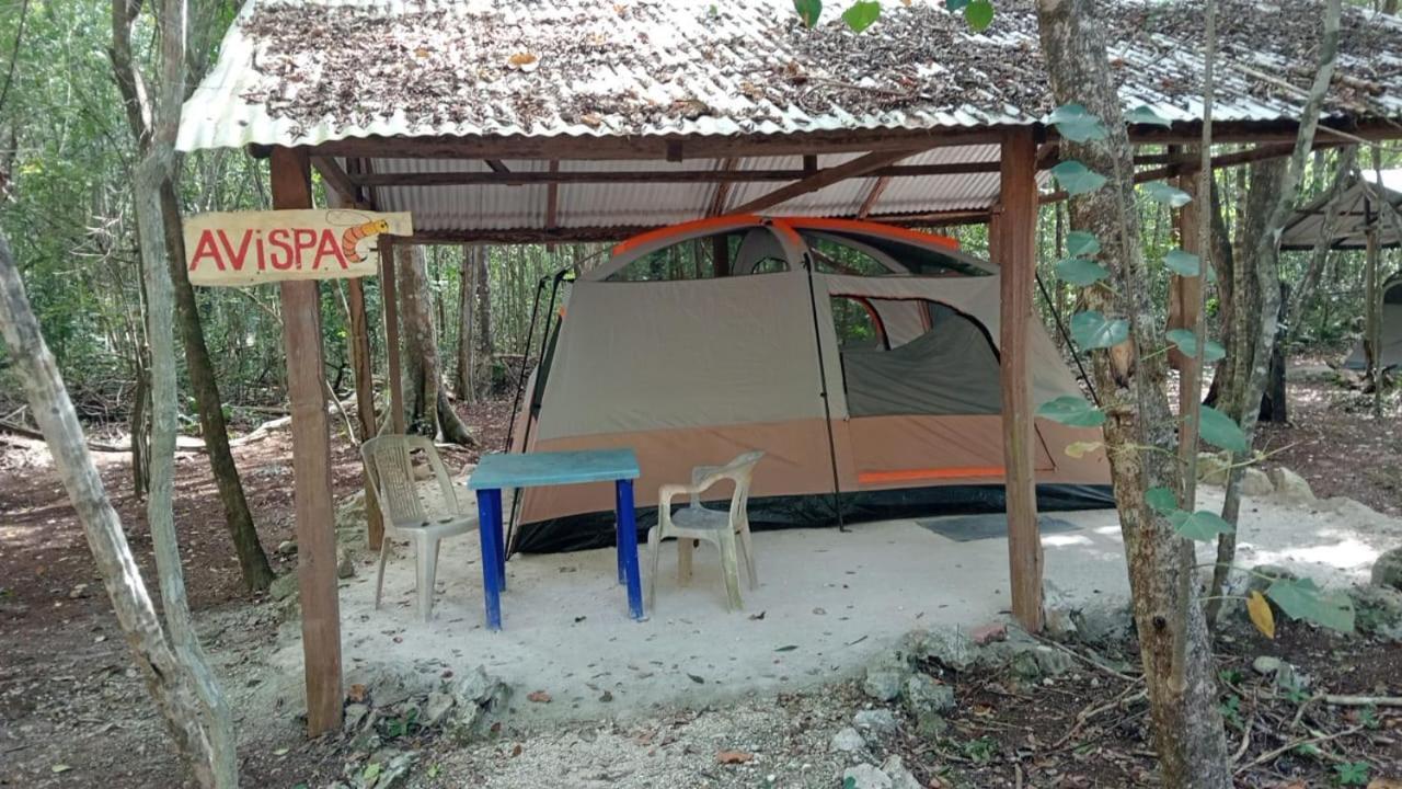 Campamento Yaax Che En Calakmul Conhuas Room photo