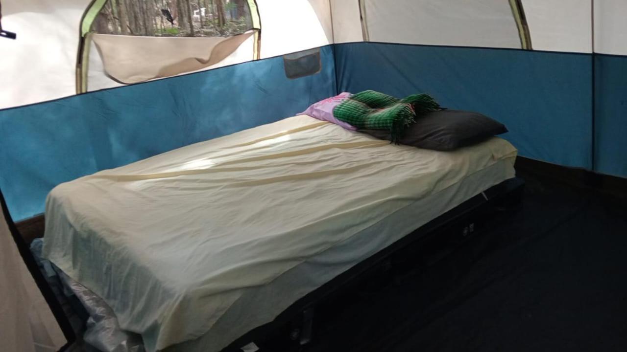 Campamento Yaax Che En Calakmul Conhuas Room photo