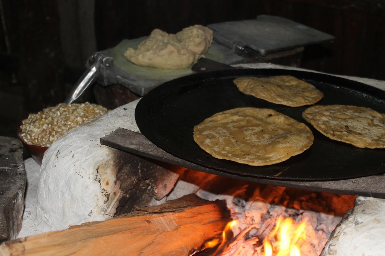 Campamento Yaax Che En Calakmul Conhuas Exterior photo